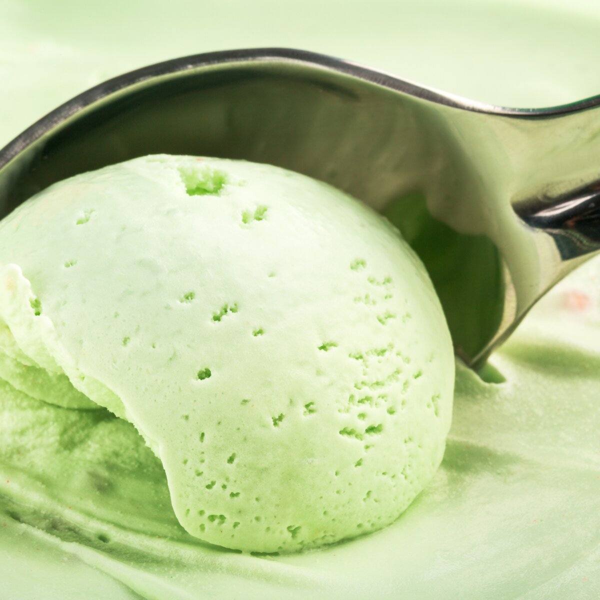 Cuchara para Helado de Acero Inoxidable con Mango de Plástico Tab and Kit