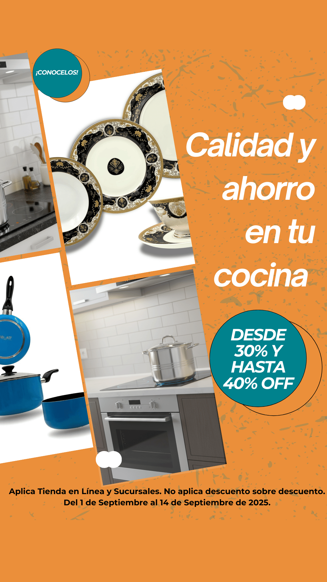 Banner_celular_DESCUENTOS_QUINCENALES05.png