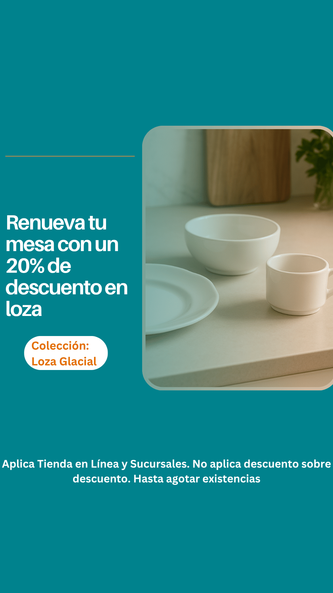 Banner_celular_LOZA_08.png