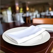 Plato base de 32 cm de Loza tipo Cerámica Elegante Clásico Blanco Glacial 311138 Santa Anita