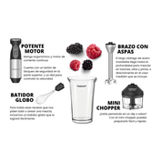 Batidora de inmersión con accesorios Smart Stick Cuisinart CSB-179