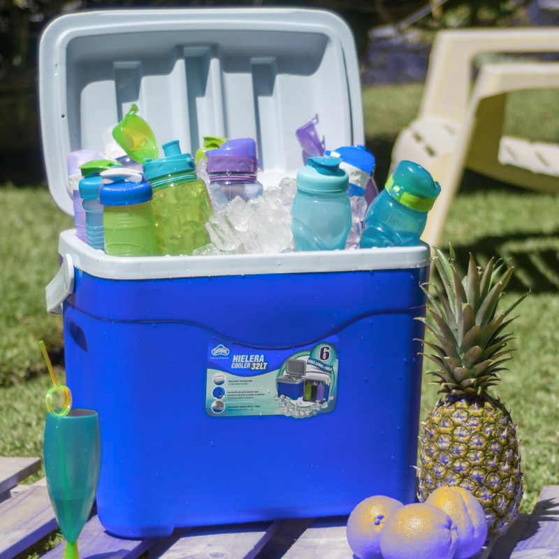 Hielera de plastico portatil azul con asa 32lts Cap 6 botellas de 2 lts AR011581A