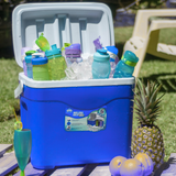 Hielera de plastico portatil azul con asa 32lts Cap 6 botellas de 2 lts AR011581A