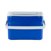 Hielera de plástico portátil 16 lts 22 latas de cerveza AR011811A