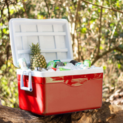 Hielera plástico portátil con válvula drenaje roja 50lts 70 latas AR016911